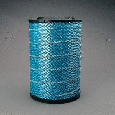 Air Filter (P606720)