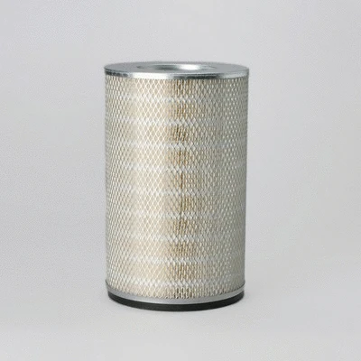 Air Filter (P181139)