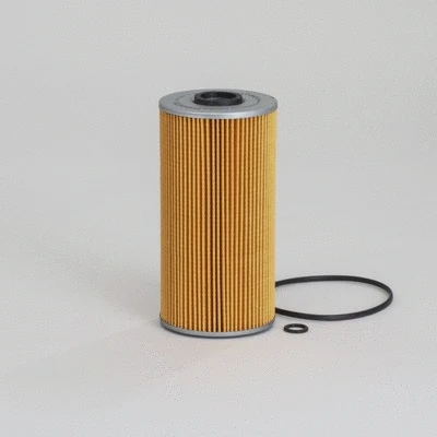 Oil Filter (P550070)