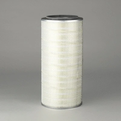 Air Filter (P777105)