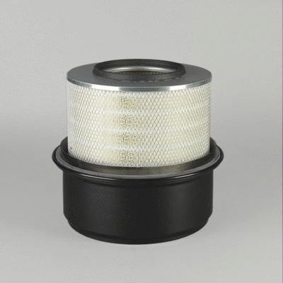 Air Filter (P771582)