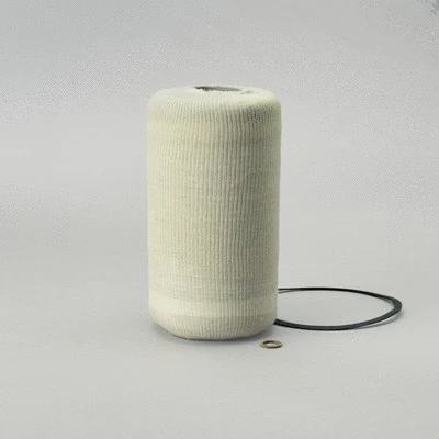 Fuel Filter (P550032)