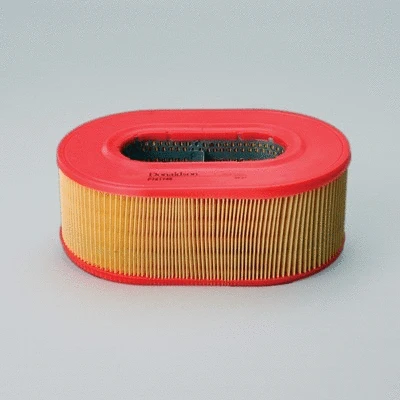 Air Filter (P781746)