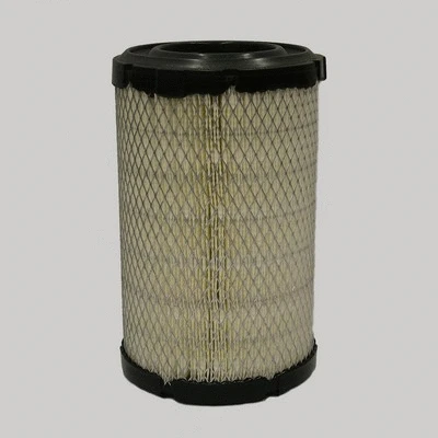 Air Filter (P778507)