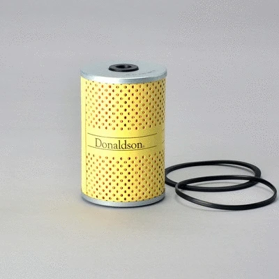 Fuel Filter (P502116)
