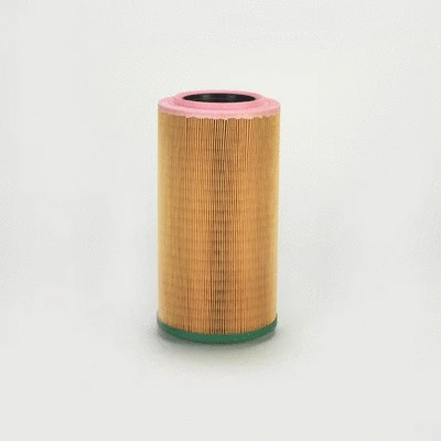 Air Filter (P953553)