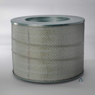Air Filter (P780834)