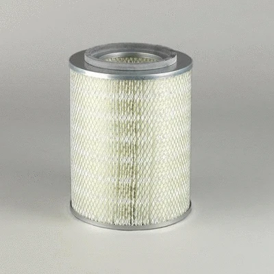 Air Filter (P771595)