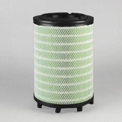 Air Filter (P953213)