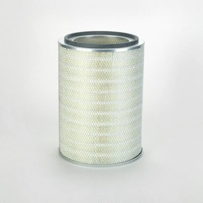 Air Filter (P775918)