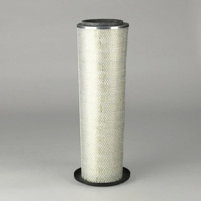 Air Filter (P775945)