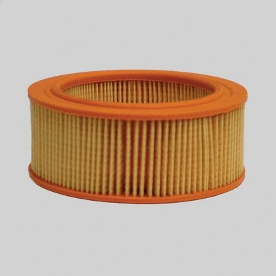 Air Filter (P777483)