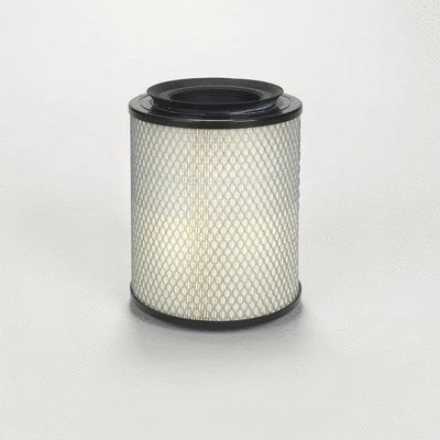 Air Filter (P500200)