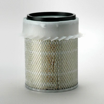 Air Filter (P182045)