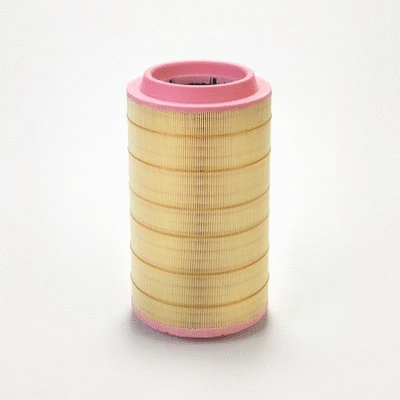Air Filter (P785002)