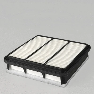 Air Filter (P506010)