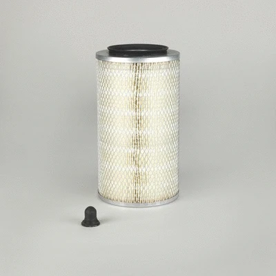 Air Filter (P136254)