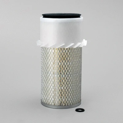 Air Filter (P182052)