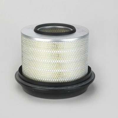 Air Filter (P771510)