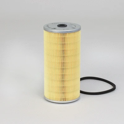 Fuel Filter (P550347)