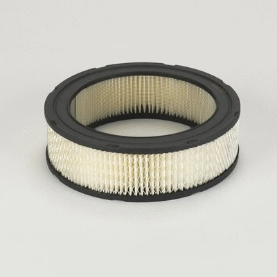 Air Filter (P524391)