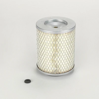 Air Filter (P539470)