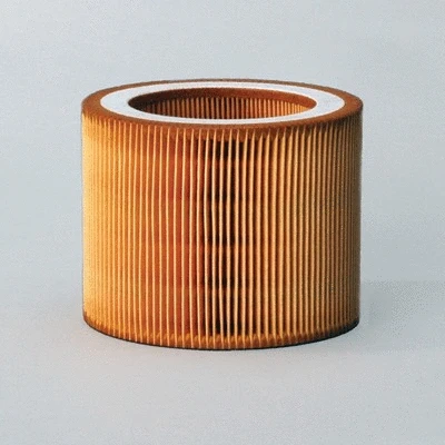 Air Filter (P784578)