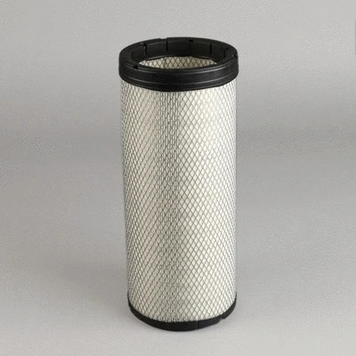 Secondary Air Filter (P780624)
