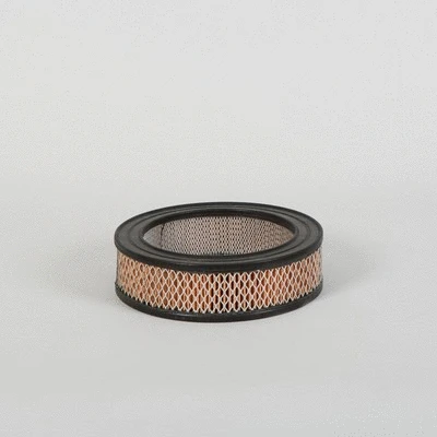 Air Filter (P500091)