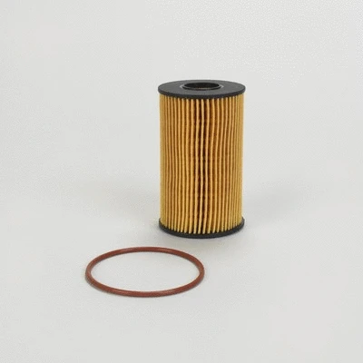 Oil Filter (P505988)