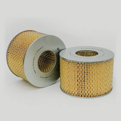 Air Filter (P500020)