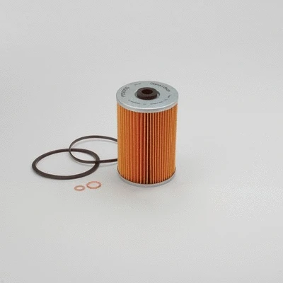 Fuel Filter (P550055)