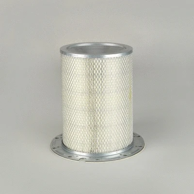 Secondary Air Filter (P158677)