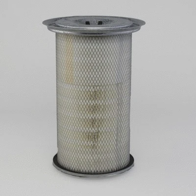 Air Filter (P772530)
