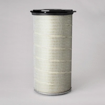 Air Filter (P780815)