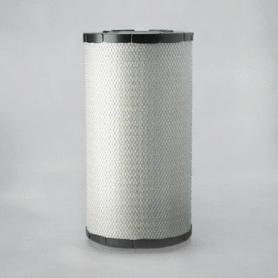 Air Filter (P782106)