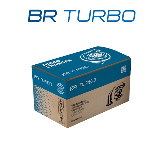 Charger, charging (supercharged/turbocharged) (BRTX591)