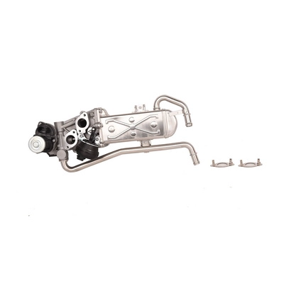 EGR Valve (BF0425820006)
