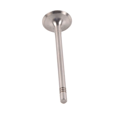 Intake Valve (BF0425670002)