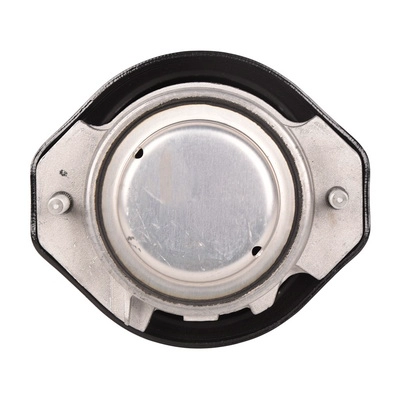 Mounting, engine (BF0428140357)