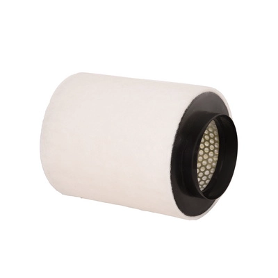 Air Filter (BF0427400072)