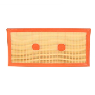 Air Filter (BF0427400082)