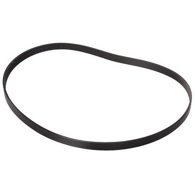 V-Ribbed Belt (BF0427580064)