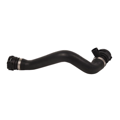 Radiator Hose (TOPT1213189)