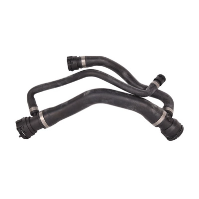 Radiator Hose (TOPT1213203)