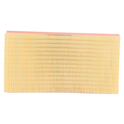 Air Filter (BF0427400042)