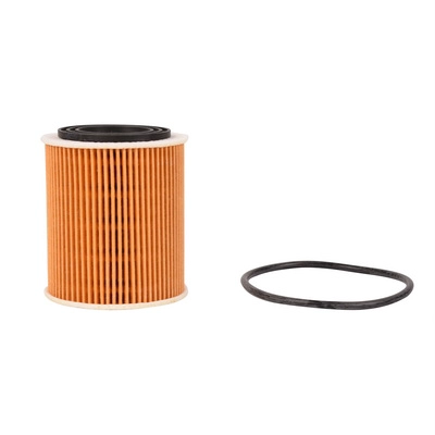 Oil Filter (BF0423470017)