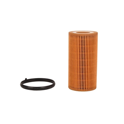 Oil Filter (BF0423450008)
