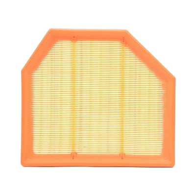 Air Filter (BF0427400031)