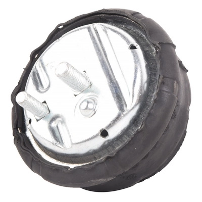 Mounting, engine (BF0428140229)